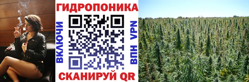 Виды наркотиков купить Задонск OMG ТОР  Alpha-PVP  ГАШИШ  Меф  Канабис  АМФ 