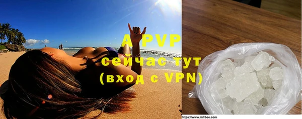 индика Нефтекумск