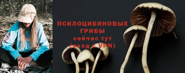 индика Нефтекумск