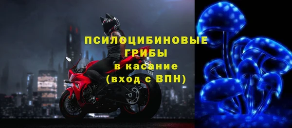 СК Надым