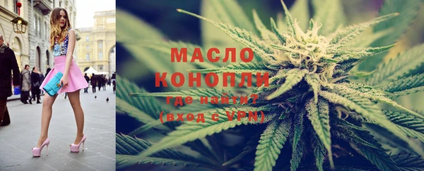 индика Нефтекумск