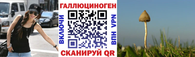 Псилоцибиновые грибы GOLDEN TEACHER  Задонск 