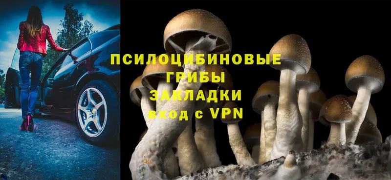 Галлюциногенные грибы Magic Shrooms  mega вход  Задонск  купить наркотик 